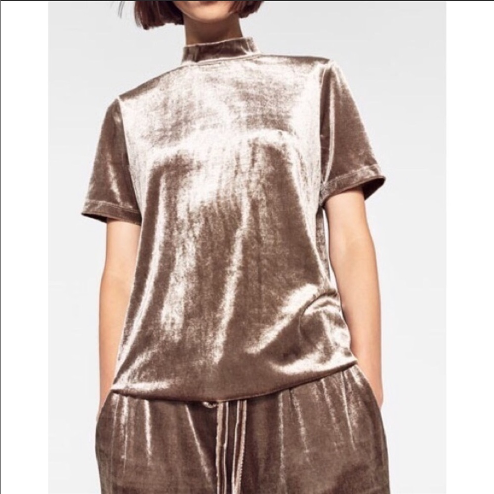 Zara Metallic Taupe Velvet Short Sleeve Tee